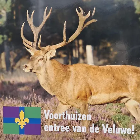 2 Tot 6 Persoons Natuurhuisje Volledig Omheind En Helemaal Gerenoveerd In Het Bos Op De Veluwe In Chalet Voorthuizen